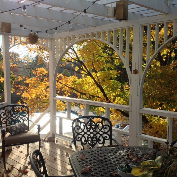 Loving the fall foliage! - Picture 2 of 5